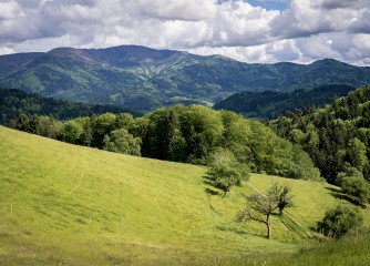 Über 40 Prozent der Übernachtungen in Ba-Wü entfallen auf die Ferienregion Schwarzwald – Neue Rekordzahlen für den Tourismus im Schwarzwald